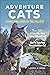 Adventure Cats: Living Nine...