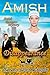 Amish Disappearance (Amish Romance Mystery #1)