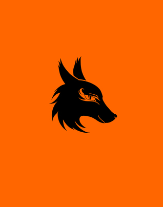 November Fox - Following Joy