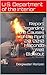 Report Regarding the Causes of the April 20, 2010 Macondo Well Blowout: Deepwater Horizon