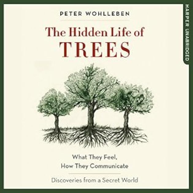 The Hidden Life of Trees: What They Feel, How They Communicate—Discoveries from a Secret World