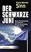 Der Schwarze Juni: Brexit, Flüchtlingswelle, Euro-Desaster - Wie die Neugründung Europas gelingt (German Edition)