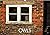 Owls 2015: Owl photography