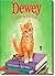 Dewey. O Gato Da Biblioteca
