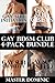 Gay BDSM Club 4-Pack Bundle