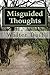 Misguided Thoughts: Misguid...