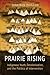 Prairie Rising: Indigenous Youth, Decolonization, and the Politics of Intervention