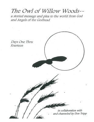 The Owl of Willow Woods