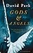 Gods & Angels by David Park
