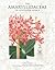The Amaryllidaceae of Southern Africa by Graham  Duncan