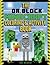 The Dr. Block Minecraft Coloring & Activity Book