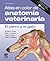 Atlas en color de anatomía veterinaria. El perro y del gato (incluye evolve) (Spanish Edition)