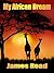 My African Dream