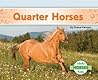 Quarter Horses