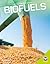 Biofuels (Alternative Energy)