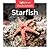 Starfish (Ocean Animals)