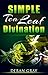 Simple Tea Leaf Divination