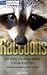 Raccoons by Jim Rankin