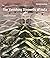 The Vanishing Stepwells of ...