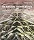 The Vanishing Stepwells of India by Victoria Lautman