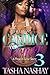 Candice and Romeo 3: A Proj...