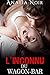L'Inconnu du Wagon Bar: (Nouvelle Érotique, Alpha Male, Bad Boy) (French Edition)