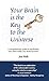 Your Brain is the Key to the Universe: A Comprehensive Guide to Manifesting Your Ideal Reality and World Harmony