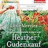 Little Mercies by Heather Gudenkauf