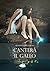 Canterà il gallo (Il Grimorio Vol. 16) (Italian Edition)