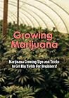 Growing Marijuana: Marijuana Growing Tips and Tricks to Get Big Yields For Beginners!