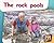 The Rock Pools