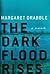 The Dark Flood Rises by Margaret Drabble