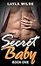 Secret Baby (Book One) (Billionaire Baby 1)