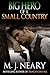 Big Hero of a Small Country by M.J. Neary