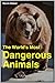 The World's Most Dangerous Animals