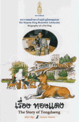 เรื่อง ทองแดง ฉบับการ์ตูน (Paperback)