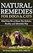 Natural Remedies For Dogs & Cats: Heal Your Pet At Home The Holistic, Healthy and Affordable Way (Holistic, herbal, natural treatments and supplements ... digestive conditions, vitality Book 1)