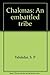 Chakmas: An embattled tribe