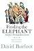 Finding the Elephant: Subspace, the Mega-phenomenon