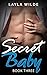 Secret Baby (Book Three)