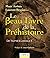 Le beau livre de la préhist...