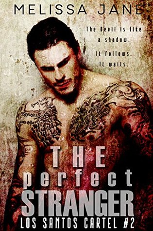 The Perfect Stranger (Los Santos Cartel #2)