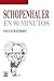 Schopenhauer en 90 minutos by Paul Strathern