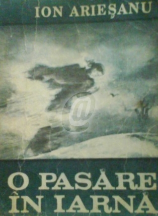 O pasăre în iarnă