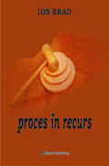 Proces in recurs (Paperback)