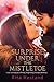 Surprise Under the MIstletoe-A New Adult Novella