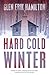 Hard Cold Winter (A Van Shaw mystery)
