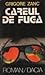 Careul de fuga