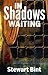 In Shadows Waiting by Stewart Bint