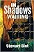 In Shadows Waiting